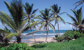 Photograph: East Coast in Barbados, where Washburn Law hosts a summer study abroad program.