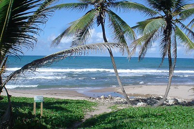 Photograph: View of ocean on the east coast of Barbados.