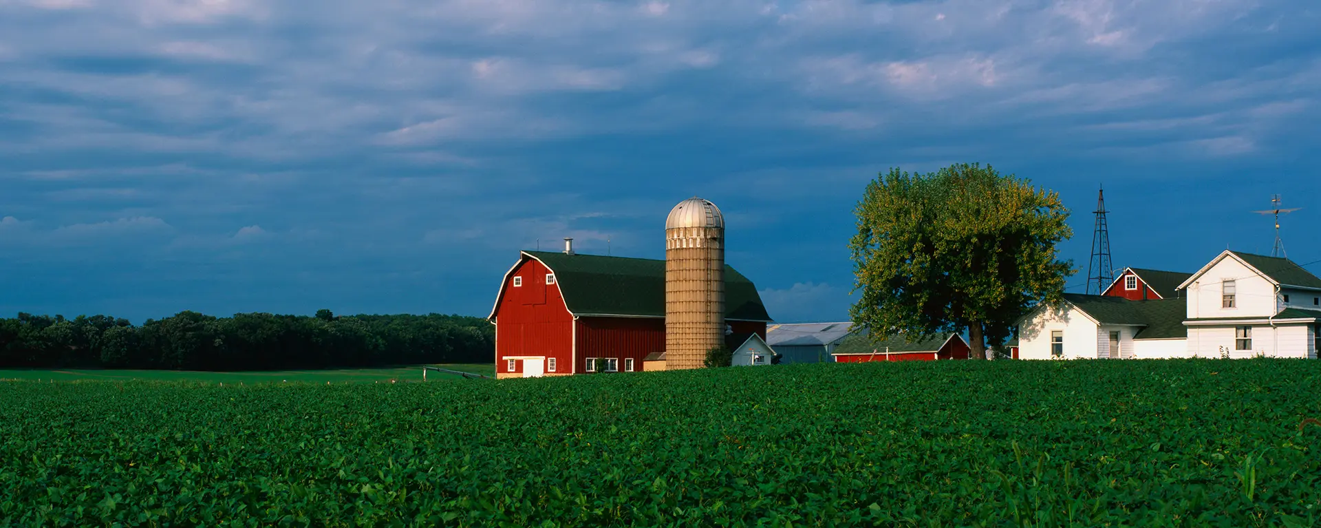 farm field with barn in the distance