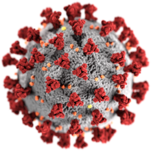 Graphic: COVID-19 virus.