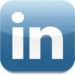 LinkedIn Icon.